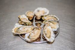 oesterbord om oesters in stijl te serveren