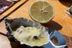 gegrilde oester met kaas